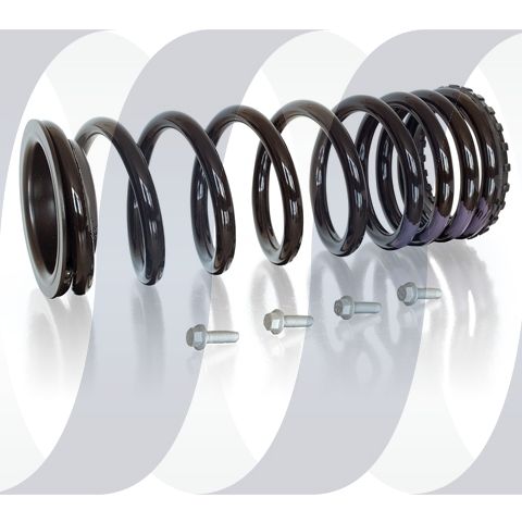 Coil spring conversion kit rear Disco 2